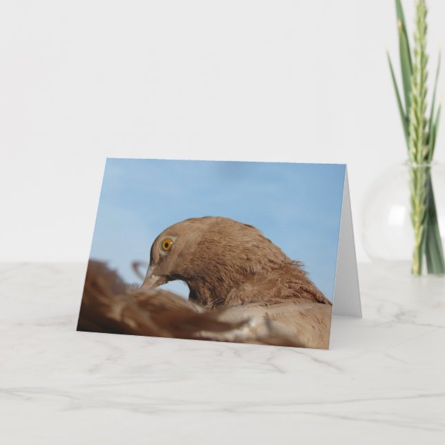 Tarjeta Cerdo (Anverso)