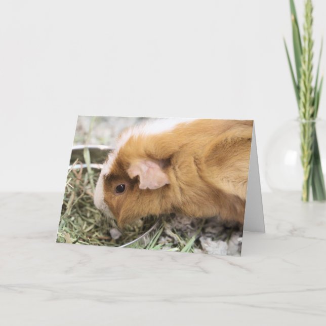 Tarjeta Cerdo (Anverso)