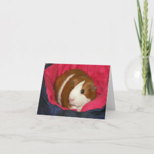Tarjeta Cerdo de Guinea en un Cozie Notecard