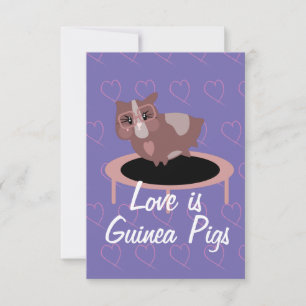 Tarjeta Cerdos de Guinea Adorables Haciendo Ejercicio