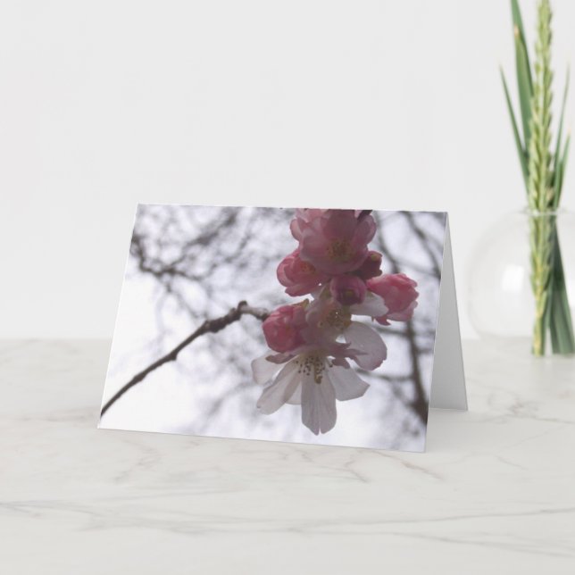 Tarjeta cereza (Anverso)