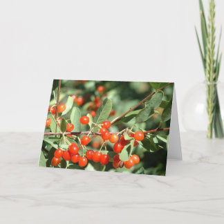 Tarjeta Cerezas silvestres 1