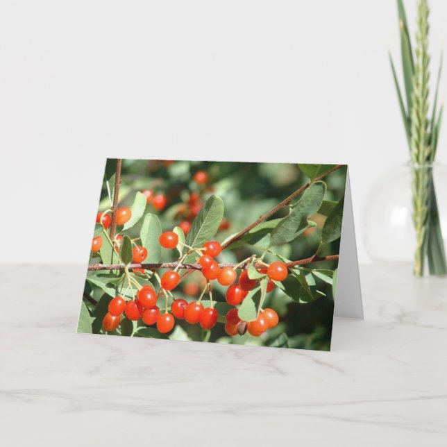 Tarjeta Cerezas silvestres 1 (Anverso)