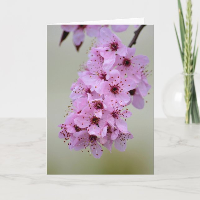 Tarjeta Cerezo en flor (Anverso)