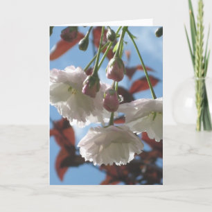 Tarjeta Cerezo en flor