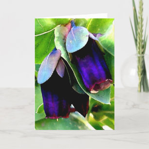 TARJETA CERINTHE NOTECARD/BLANCO