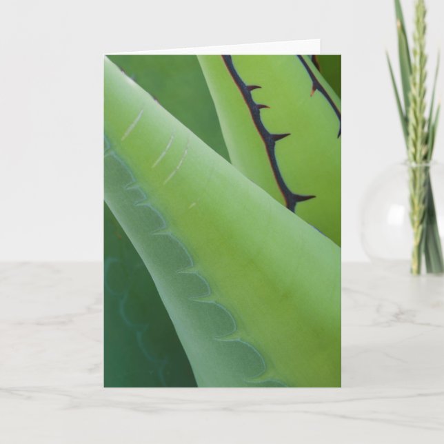 Tarjeta Cerrar Agave (Anverso)
