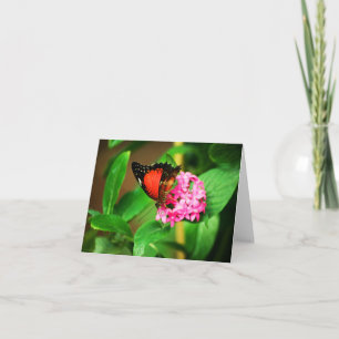 Tarjeta Cethosia biblis