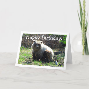 Tarjeta CGB Chubby Grizzly Bear