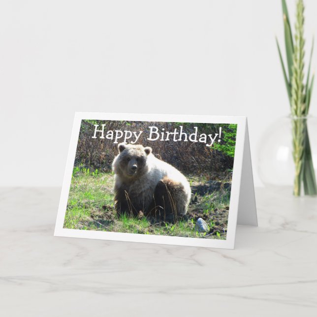 Tarjeta CGB Chubby Grizzly Bear (Anverso)
