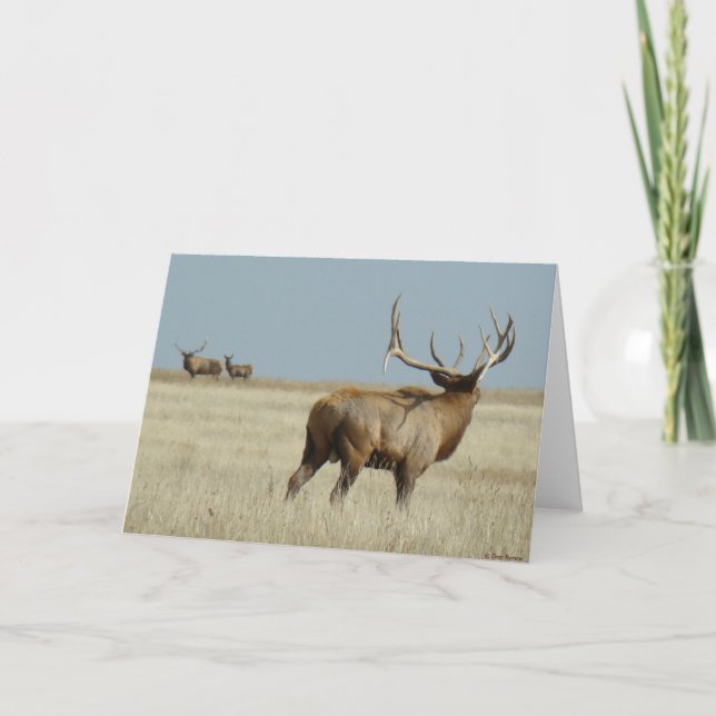 Tarjeta Challenger de Elk E20 (Anverso)