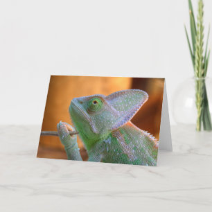 Tarjeta Chameleon con velo