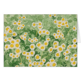 Tarjeta Chamomiles