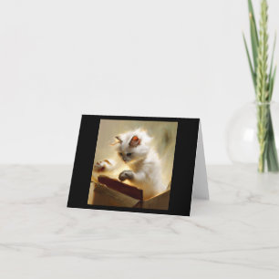 Tarjeta Chantilly-Tiffany Cat