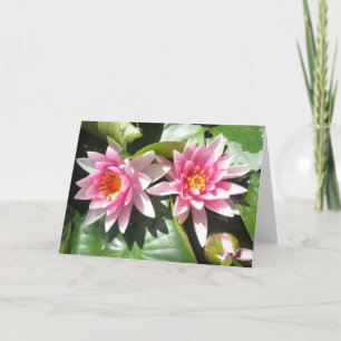 Tarjeta Charca Lillies Notecard
