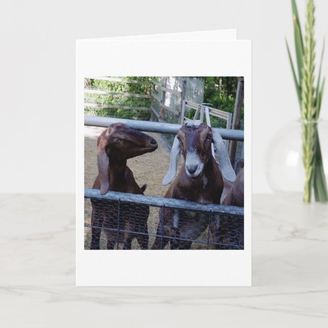 Tarjeta Charla del chica (Anverso)