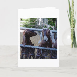 Tarjeta Charla del chica