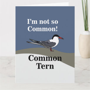 Tarjeta Charrán Común Ave Marina Pájaro Divertido