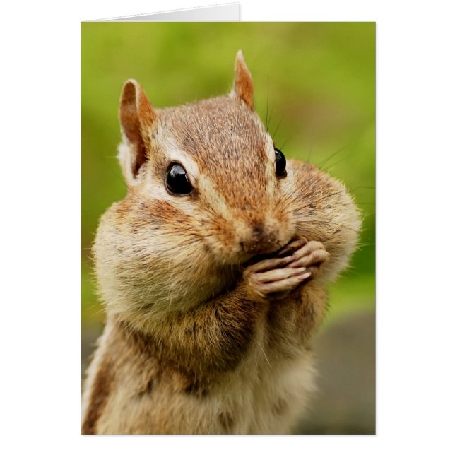 Tarjeta Cheeky Chipmunk (Frente)