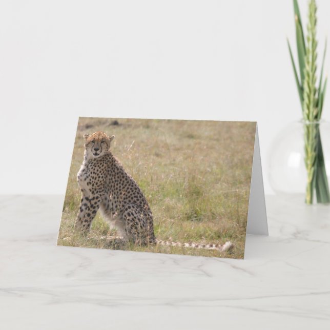 Tarjeta Cheetah (Anverso)