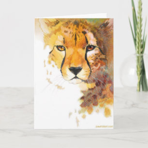 Tarjeta - ¡Cheetah!