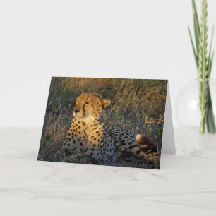 TARJETA CHEETAH GREETING