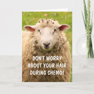 Tarjeta Chemo Support Funny Sheep