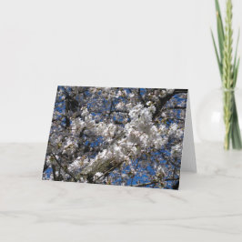Tarjeta Cherry Blossom Blank notecard