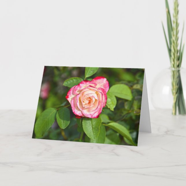 Tarjeta Cherry Parfait Rosa (Anverso)