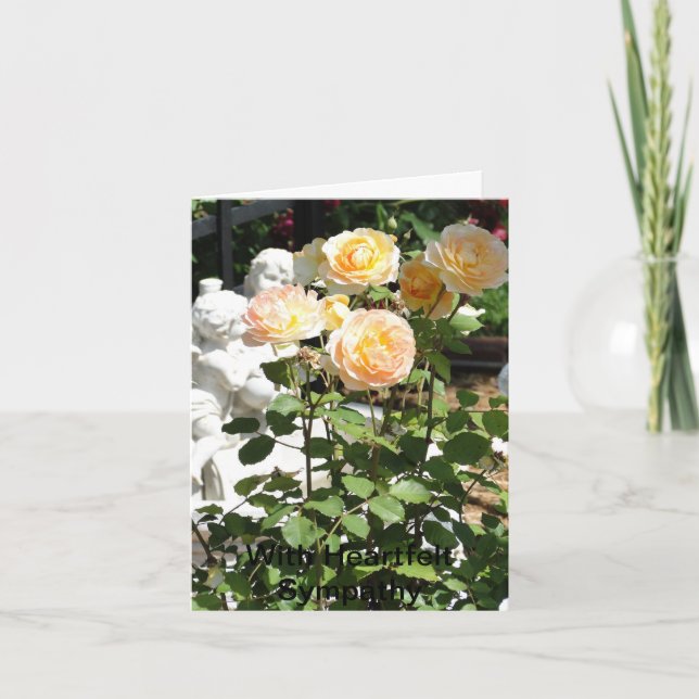 Tarjeta Cherubres Y Rosas, Solidaridad (Anverso)
