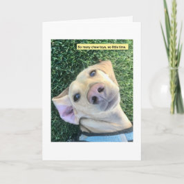 Tarjeta Chew Toys MillieGram