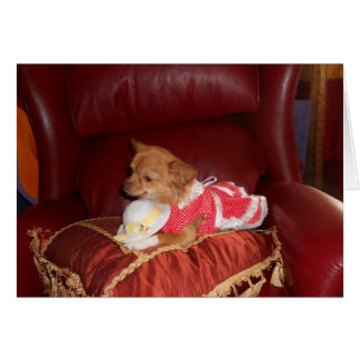 tarjeta chi de fiesta