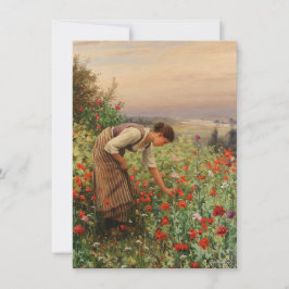Tarjeta Chica Poppies (Escena Floral) (Campo Flor)