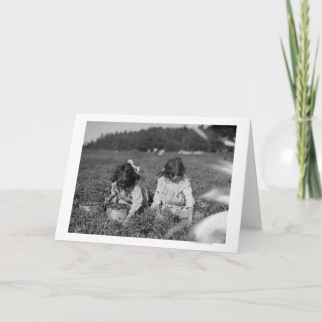 Tarjeta Chicas jóvenes que escogen la fotografía de los (Anverso)