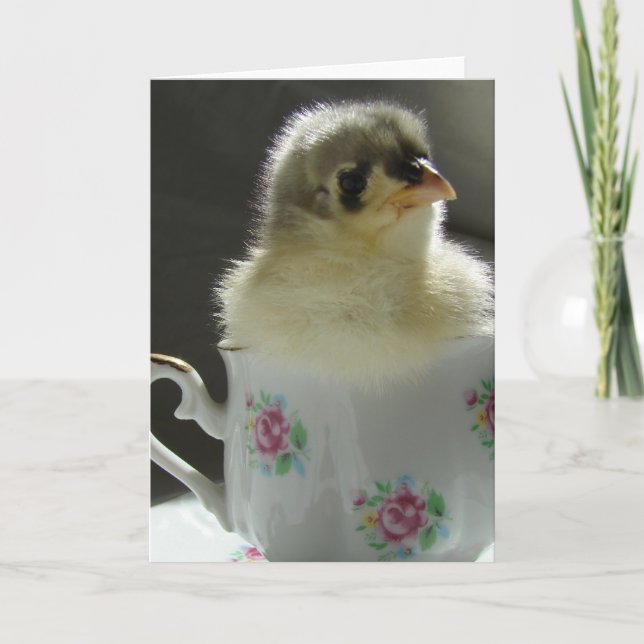 Tarjeta Chick de Cocina Azul en una taza de té (Anverso)