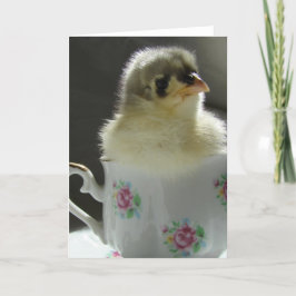 Tarjeta Chick de Cocina Azul en una taza de té