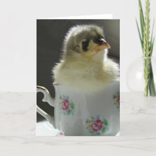 Tarjeta Chick de Cocina Azul en una taza de té