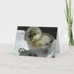 Tarjeta Chick de Cocina Azul en una taza de té