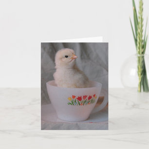 Tarjeta Chick en un vintage equipo de arte digital en toda