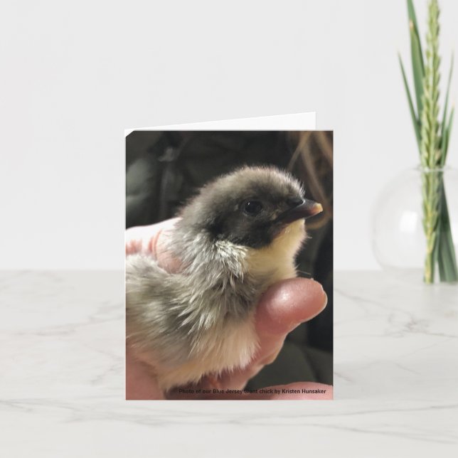 Tarjeta Chick gigante de Jersey azul (Anverso)