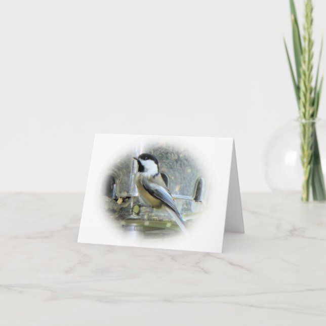 Tarjeta Chickadee (Anverso)