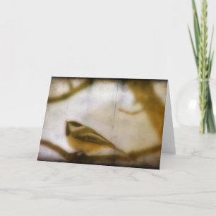 Tarjeta Chickadee