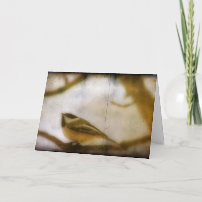 Tarjeta Chickadee (Anverso)