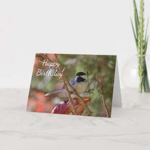 Tarjeta Chickadee Negro-capsulado