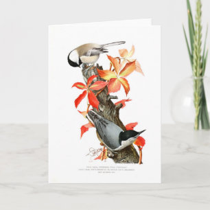 Tarjeta Chickadee y Nuthatch