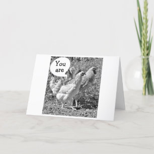 TARJETA CHICKEN DE PRIMAVERA INCLUSO A LA EDAD DE CUARENTA