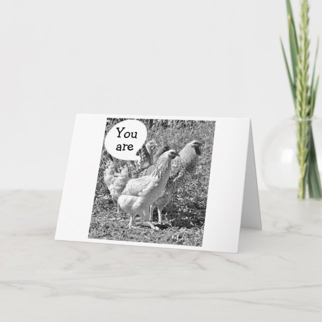 TARJETA CHICKEN DE PRIMAVERA INCLUSO A LA EDAD DE CUARENTA (Anverso)