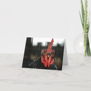 TARJETA CHICKEN NOTECARD