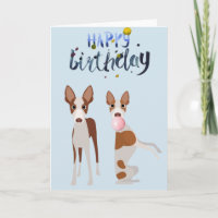 Chicle Burbuja Animal Perro Sabueso Ibicenco Cumpl
