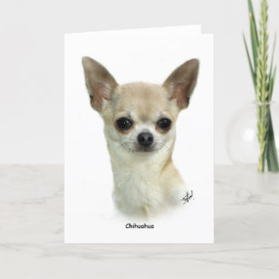 Tarjeta Chihuahua 9P93D-123_2